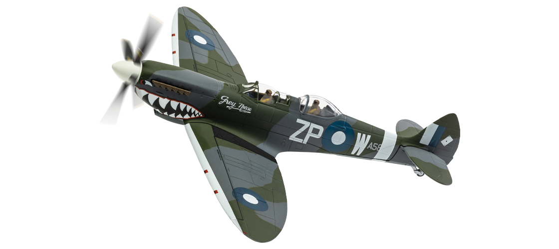 Supermarine Spitfire T.9 TE308 'Grey Nurse' Sharkmouth