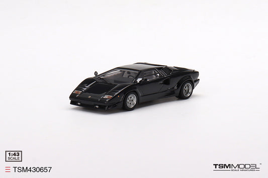 Lamborghini Countach 25th Anniversary