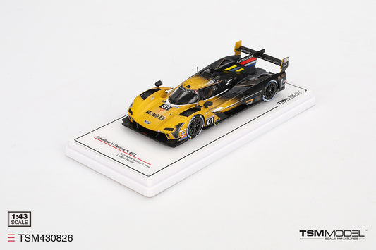 Cadillac V-Series.R No.01 Cadillac Racing IMSA Sebring 12 Hours