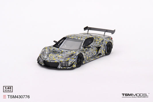 Chevrolet Corvette Z06 GT3.R Sebring Test Car