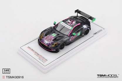 Aston Martin Vantage GT3 Evo No.44 Magnus Racing IMSA