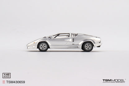 Lamborghini Countach 25th Anniversary