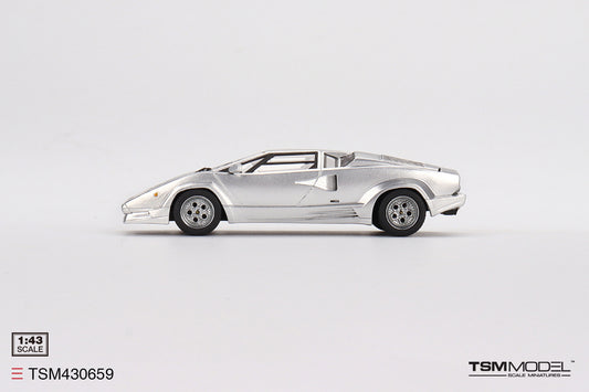 Lamborghini Countach 25th Anniversary