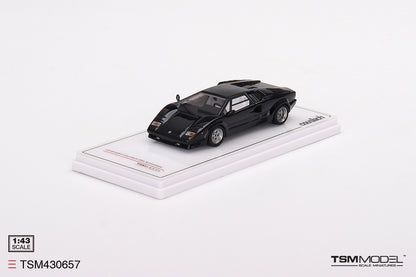 Lamborghini Countach 25th Anniversary