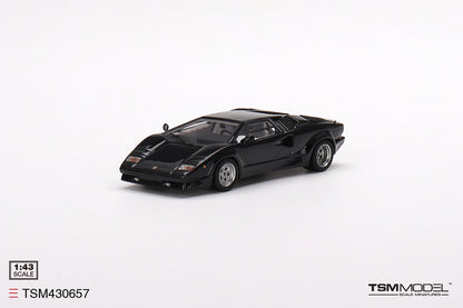 Lamborghini Countach 25th Anniversary