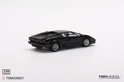 Lamborghini Countach 25th Anniversary