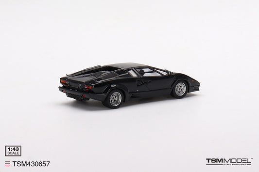 Lamborghini Countach 25th Anniversary