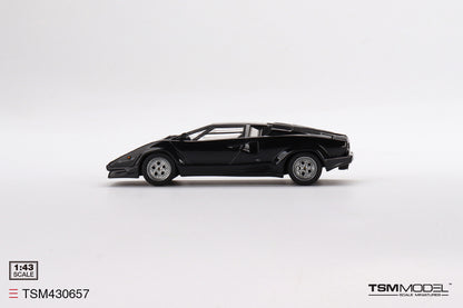 Lamborghini Countach 25th Anniversary