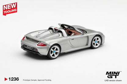 Porsche Carrera GT Silver