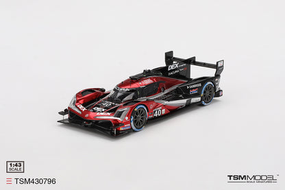 Acura ARX-05 GTP No.40 Wayne Taylor Racing with Andretti