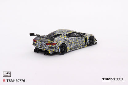Chevrolet Corvette Z06 GT3.R Sebring Test Car