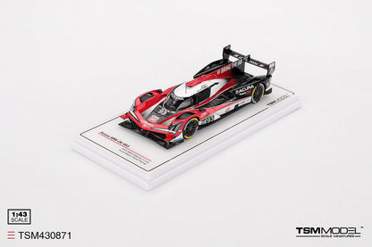 Acura ARX-06 No.93 Acura Meyer Shank Racing Sebring