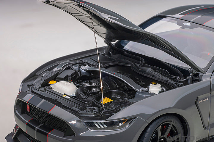 Ford Shelby GT-350R Lead Foot Grey with Black Stripes