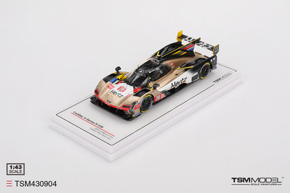 Cadillac V-Series.R No.38 Cadillac Hertz Team Jota Le Mans 24 Hours