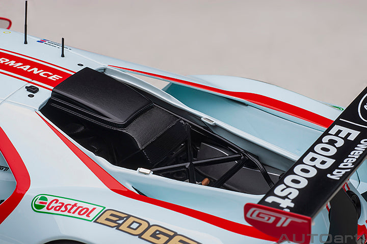 Ford GT LM No.69 Briscoe/Westbrook/Dixon 2019