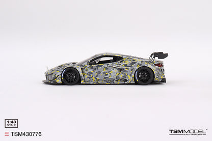 Chevrolet Corvette Z06 GT3.R Sebring Test Car