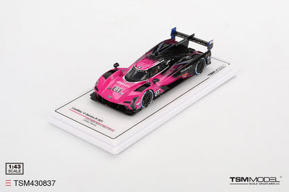 Cadillac V-Series.R No.01 Cadillac Racing IMSA Petit Le Mans