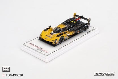 Cadillac V-Series.R No.01 Cadillac Racing IMSA Sebring 12 Hours