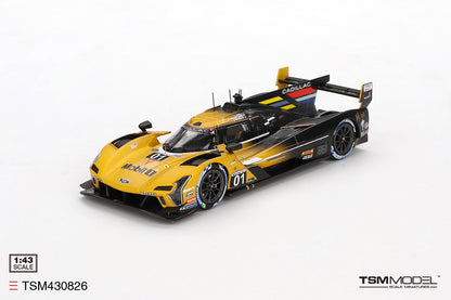 Cadillac V-Series.R No.01 Cadillac Racing IMSA Sebring 12 Hours