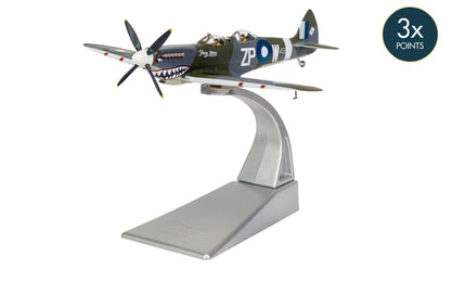 Supermarine Spitfire T.9 TE308 'Grey Nurse' Sharkmouth