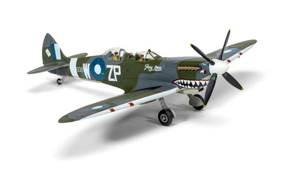 Supermarine Spitfire T.9 TE308 'Grey Nurse' Sharkmouth