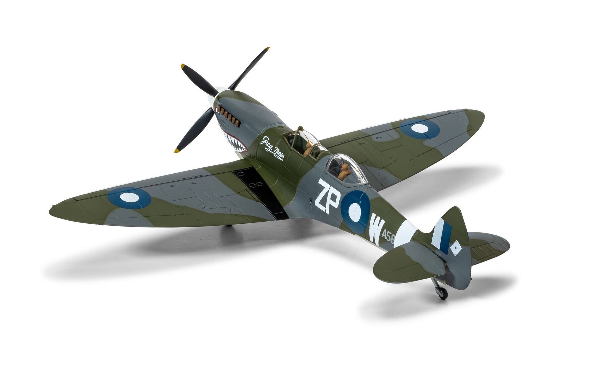 Supermarine Spitfire T.9 TE308 'Grey Nurse' Sharkmouth