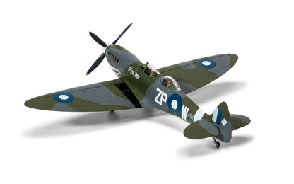 Supermarine Spitfire T.9 TE308 'Grey Nurse' Sharkmouth