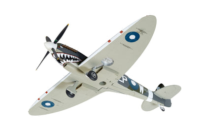 Supermarine Spitfire T.9 TE308 'Grey Nurse' Sharkmouth