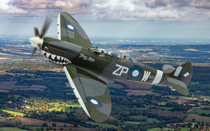Supermarine Spitfire T.9 TE308 'Grey Nurse' Sharkmouth