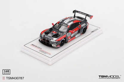 BMW M4 GT3 No.1 Paul Miller Racing Sebring 12 Hours