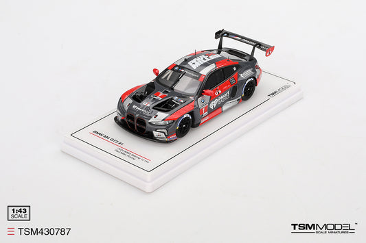 BMW M4 GT3 No.1 Paul Miller Racing Sebring 12 Hours