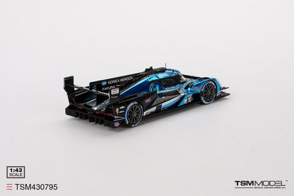 Acura ARX-06 GTP No.10 Wayne Taylor Racing with Andretti, 2024 Daytona 24 Hours