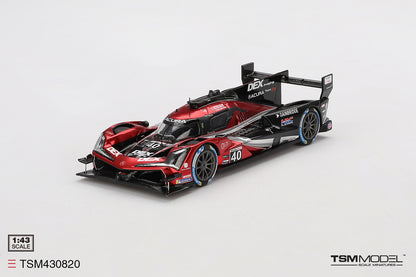 Acura ARX-06 GTP No.40 Wayne Taylor Racing with Andretti Sebring 12 Hours Winner