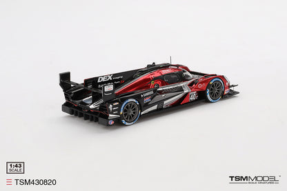 Acura ARX-06 GTP No.40 Wayne Taylor Racing with Andretti Sebring 12 Hours Winner